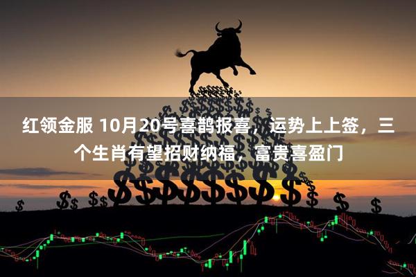 红领金服 10月20号喜鹊报喜，运势上上签，三个生肖有望招财纳福，富贵喜盈门