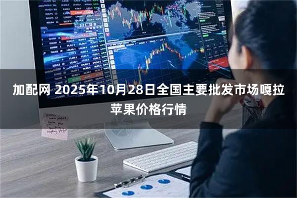 加配网 2025年10月28日全国主要批发市场嘎拉苹果价格行情