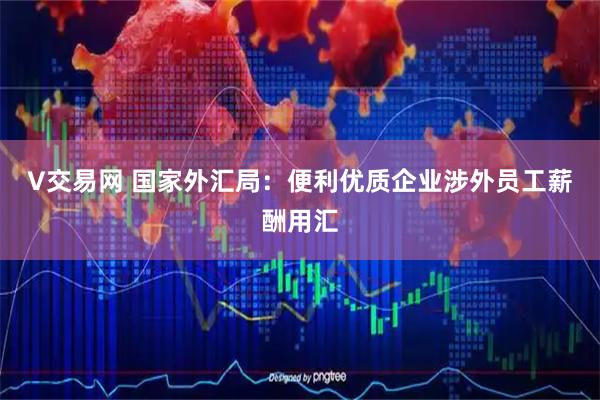 V交易网 国家外汇局：便利优质企业涉外员工薪酬用汇