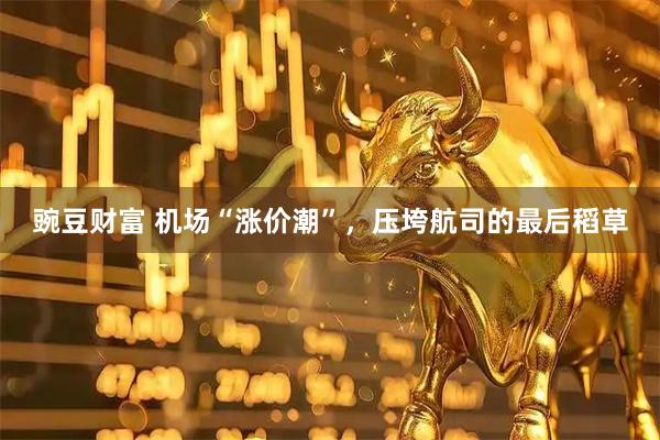 豌豆财富 机场“涨价潮”，压垮航司的最后稻草