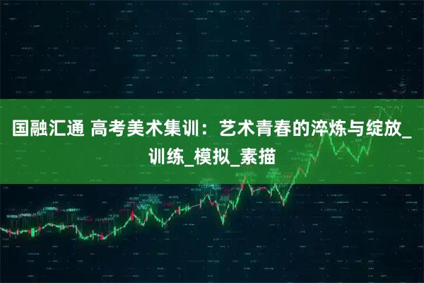 国融汇通 高考美术集训：艺术青春的淬炼与绽放_训练_模拟_素描